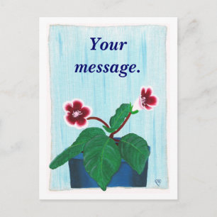 Flor de Gloxinia, Su mensaje, Postales