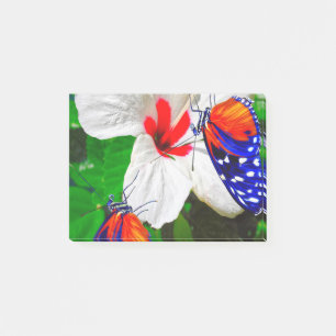 Flor de Hibiscus con 2 Tiger Longwing Post Notas