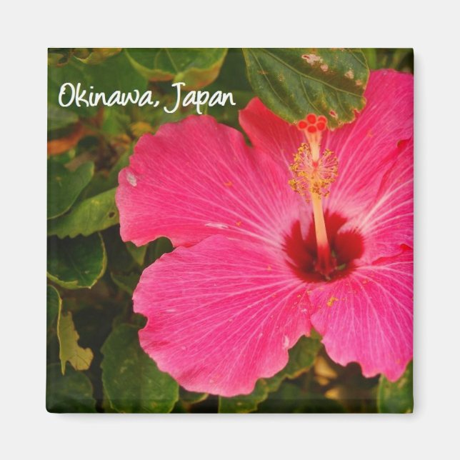 flor de imán (Frente)