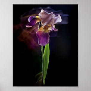 Flor de Iris Abstracta – Arte Floral Elegante