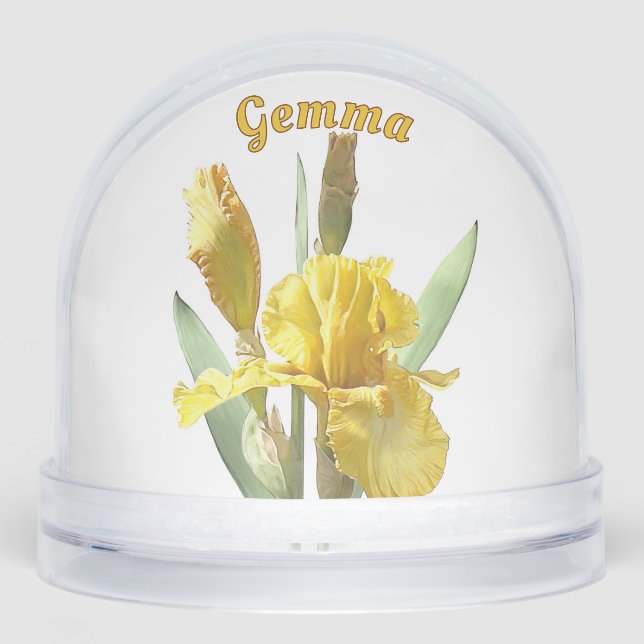 Flor de Iris Amarillo Arte Botánico Personalizado (Anverso)