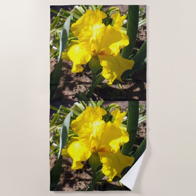 Flor De Iris Amarillo Brillante, Toalla De Playa (Anverso)