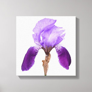flor de iris morado de bonito arte floral moderno
