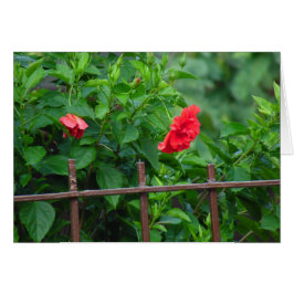 Flor de jardín inclinada