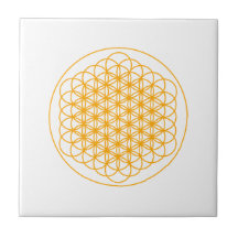 FLOR DE LA BALDOSA CERÁMICA DE LA VIDA POR EL DMT