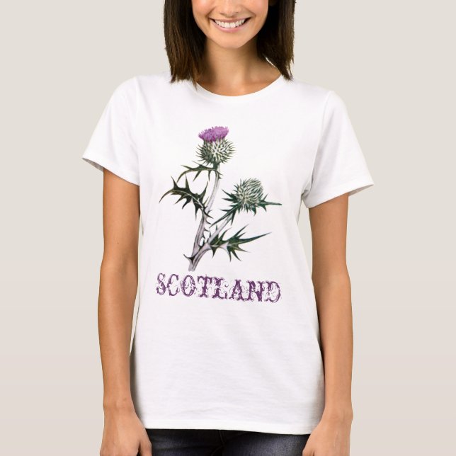 Flor de la camiseta del cardo de Escocia (Anverso)