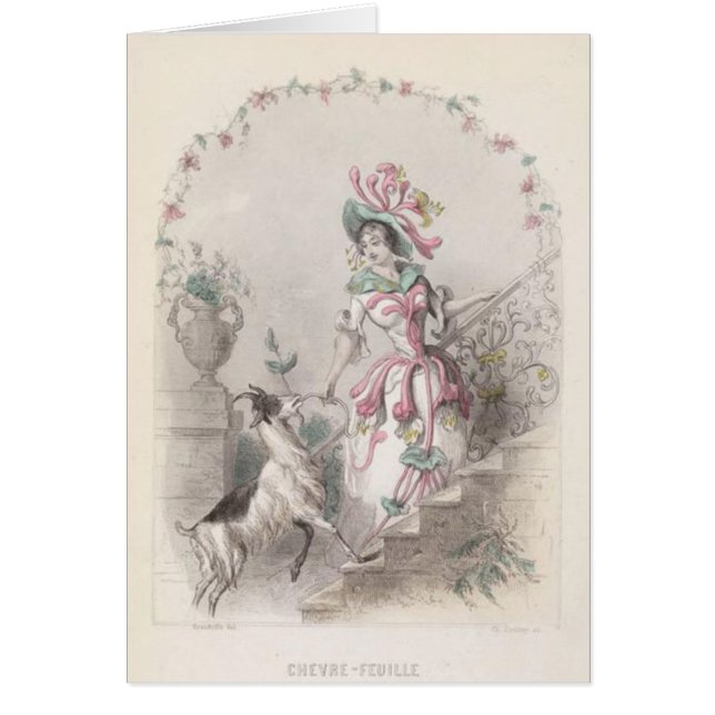 Flor de la mala hierba de las cabras (Frente)