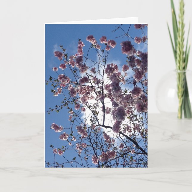 Flor de la primavera de la tarjeta de felicitación (Anverso)