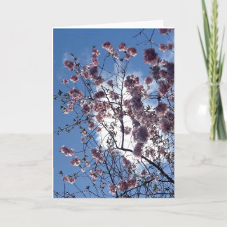Flor de la primavera de la tarjeta de felicitación