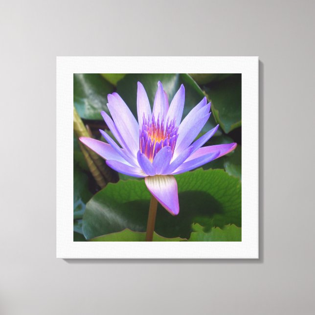 Flor de lienzo Art-Lotus (Anverso)