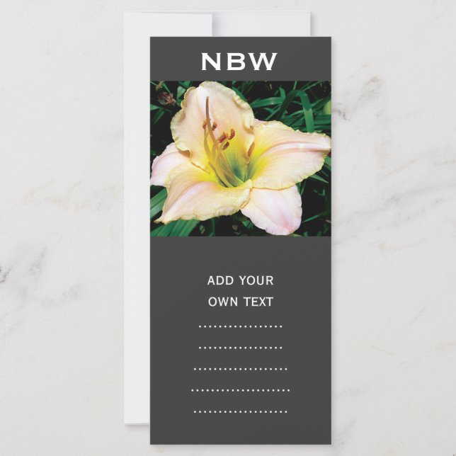 flor de lirio amarillo soltero. (Anverso)