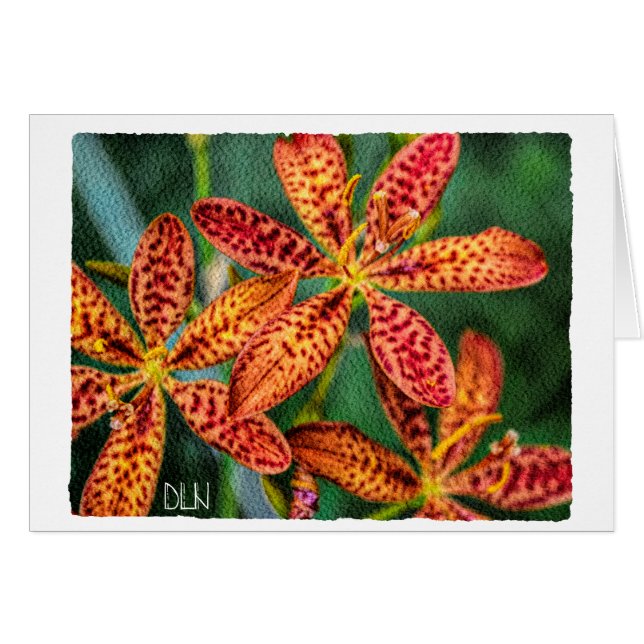 Flor de Lirio de Mora/Arte Floral/ (Anverso (Horizontal))