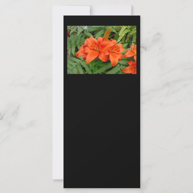 Flor de lirio - naranja irlandés (Matt 28-30) (Anverso)