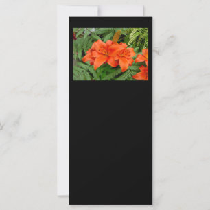 Flor de lirio - naranja irlandés (Matt 28-30)