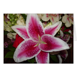 flor de lirio rosa y blanco