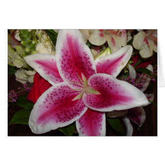 flor de lirio rosa y blanco