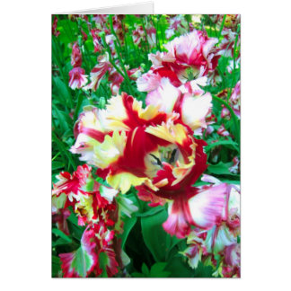 Flor de los tulipanes