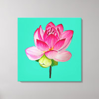 Flor de loto rosa acuarela arte fino