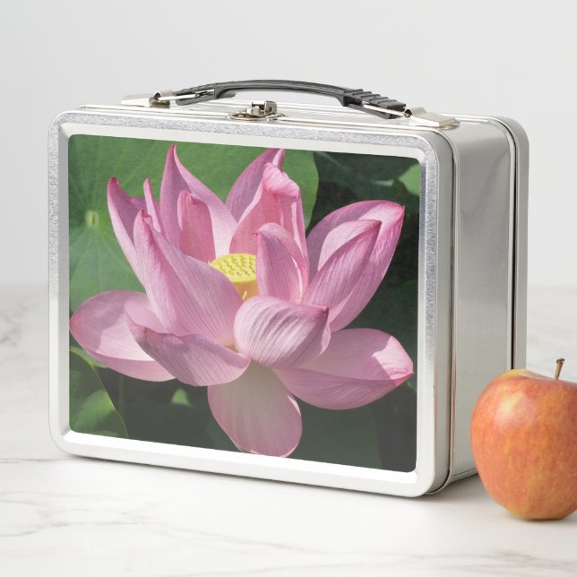 Flor de Loto Rosa IV (In situ)