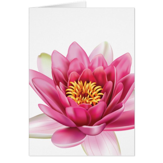 Flor de Lotus (Frente)