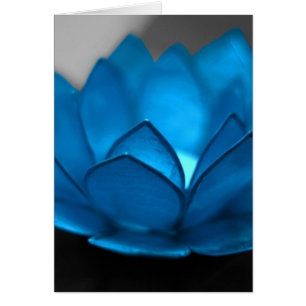 Flor de Lotus azul