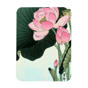 Flor de Lotus del japonés - imán del Bello Artes