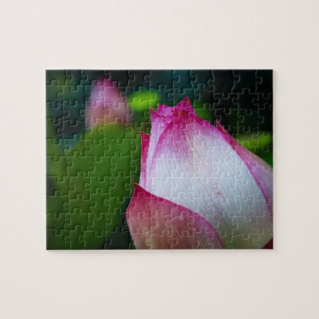 Flor de Lotus - Rompecabezas (Horizontal)