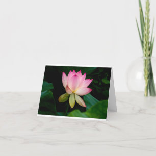 Flor de Lotus - Tarjeta plegada en blanco