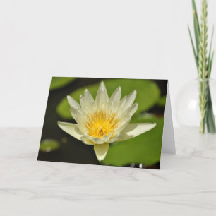 Flor de Lotus - Tarjetas de saludo con lirio de ag