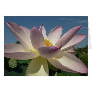 Flor de Lotus y cielo azul I