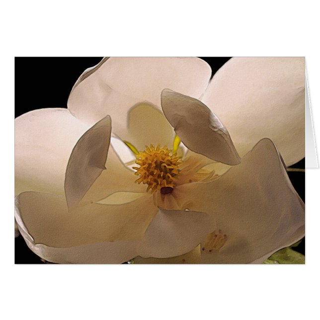 Flor de Magnolia (Anverso (Horizontal))