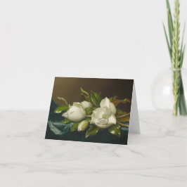 Flor de magnolia