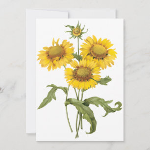 Flor de Manta Girasol por Redoute Invitación