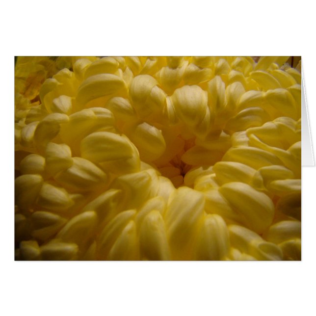 Flor de mantequilla (Anverso (Horizontal))