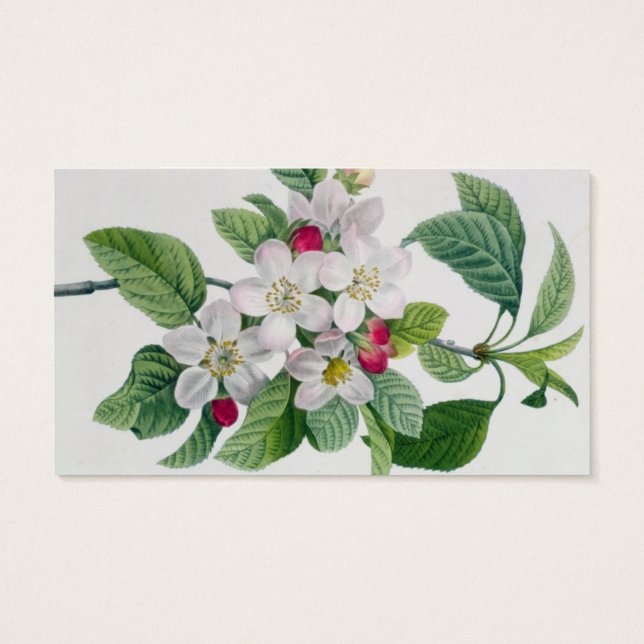 Flor de manzana, de 'Les Choix des Plus Belles' (Atrás)