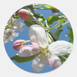 FLOR DE MANZANO PEGATINAS HOJAS DE PEGATINAS Regal