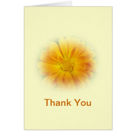 flor de margarita amarillo bonito