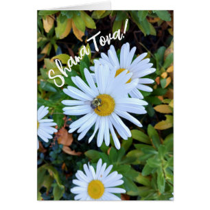 Flor de margarita blanca con una tarjeta Bee Rosh