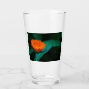 flor de margarita naranja