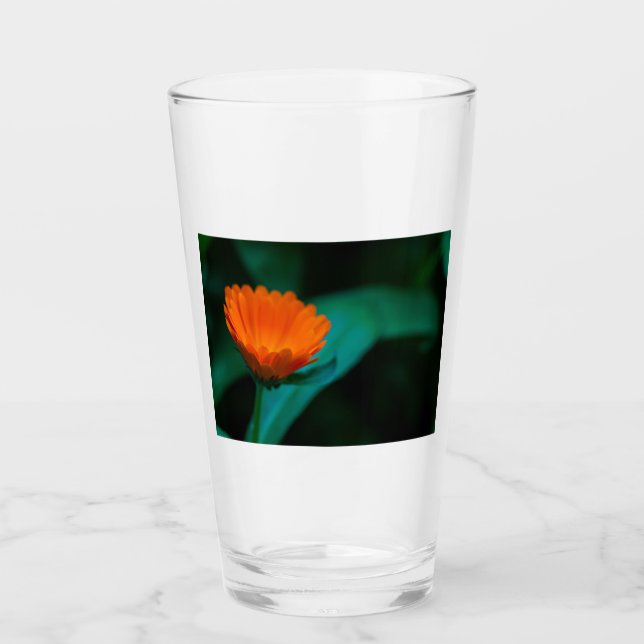 flor de margarita naranja (Anverso)