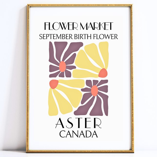 Flor de mercado de flores Flor de nacimiento Arte  (September Birth Flower ASTER Art Print)