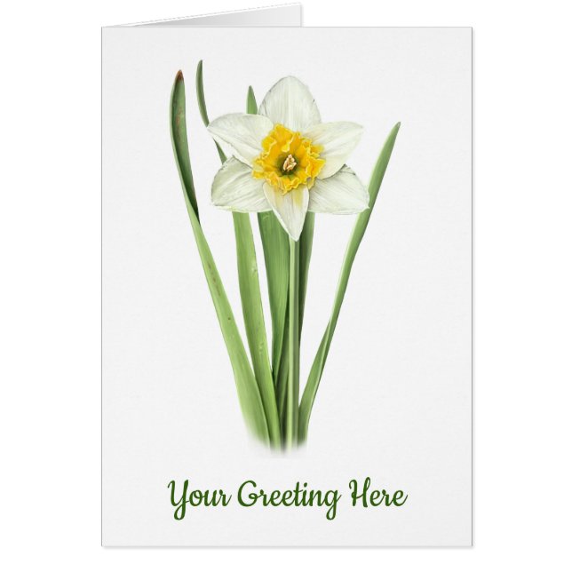 Flor de Narciso (Frente)
