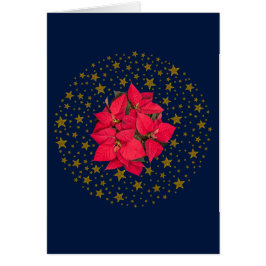 Flor de Navidades rojos, estrellas doradas brillan