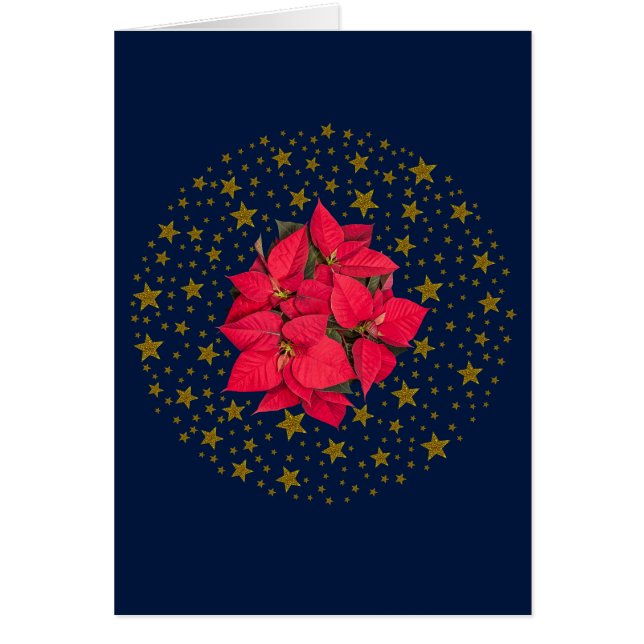 Flor de Navidades rojos, estrellas doradas brillan (Frente)
