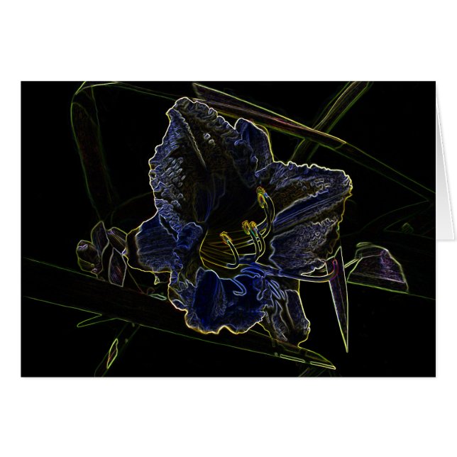 Flor de neón del Daylily del resplandor (Anverso (Horizontal))