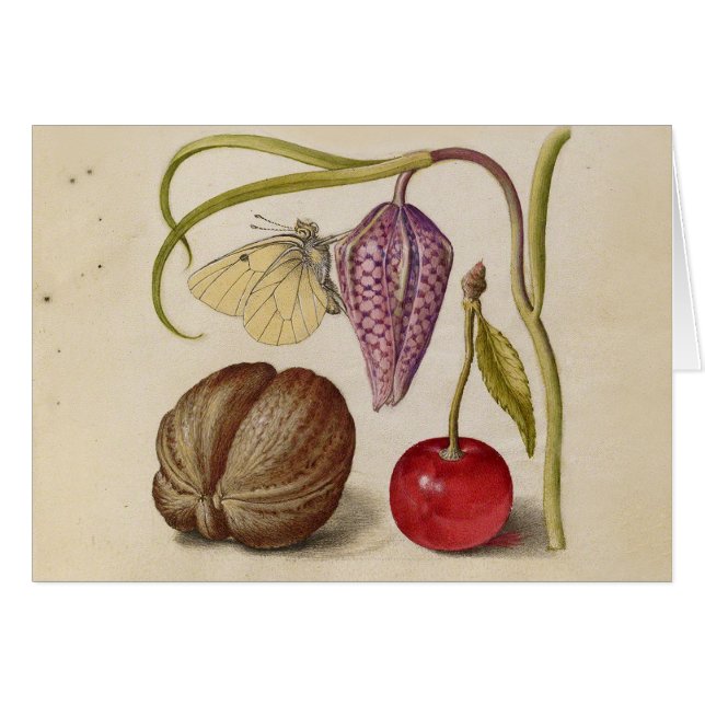 Flor de nuez de mariposa y acuarela de cerezo (Anverso (Horizontal))