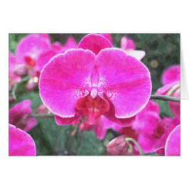 Flor de orquídea rosa, fotografía floral