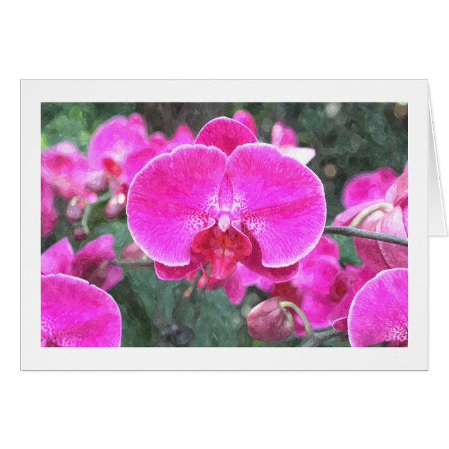 Flor de orquídea rosa, fotografía floral (Anverso (Horizontal))