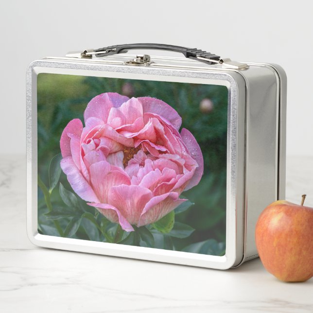 Flor de peonía rosada, fotografía canadiense (In situ)