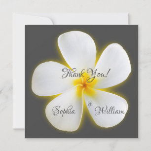 Flor de Plumeria Blanca Cuadrada Moderna, Gracias
